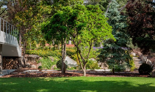 Proyecto de paisajismo jardin la moraleja