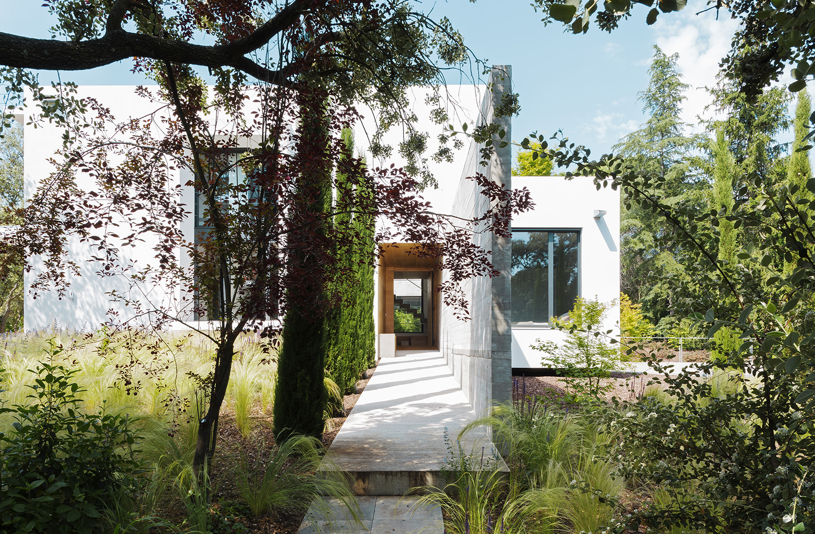 Acceso con vegetación a Casa CH, vivienda construida en madera