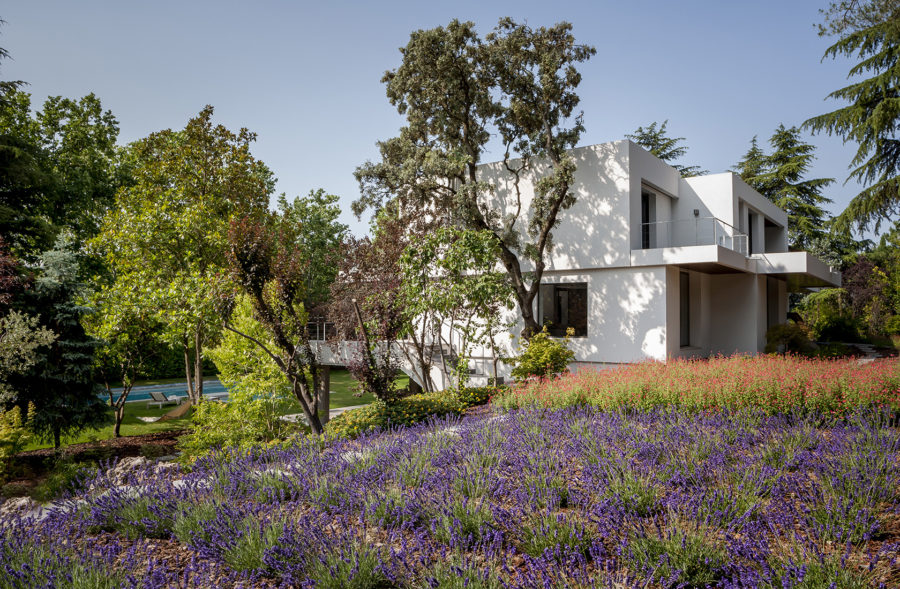 Reforma integral vivienda moraleja exterior 05