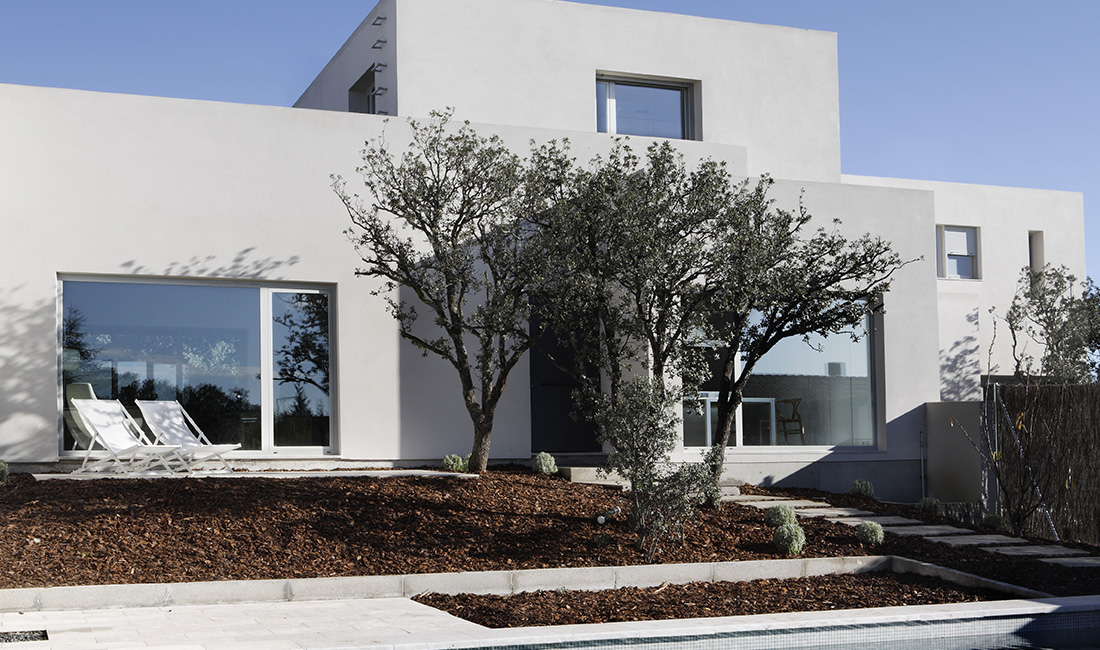 Proyecto arquitectura casa bolo