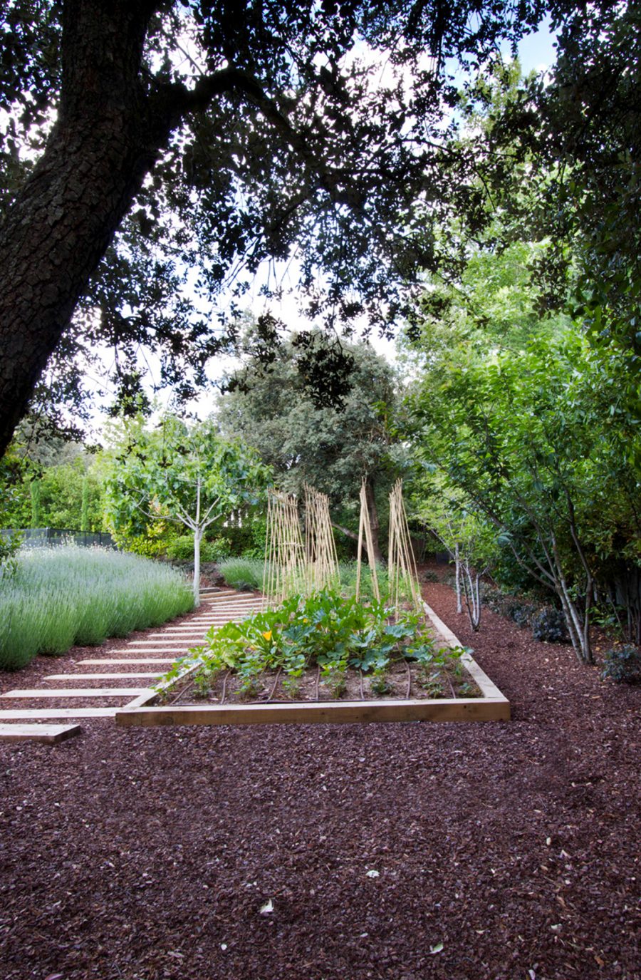 Paisajismo jardin al norte 8