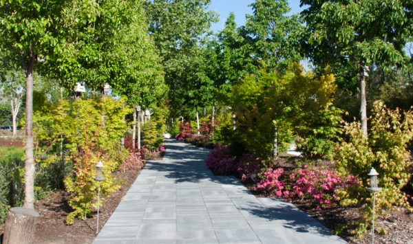 Proyecto de arquitectura paisajismo en el pardo