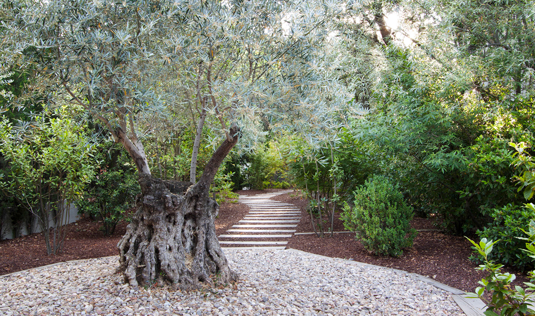 Proyecto de arquitectura paisajismo jardin al norte